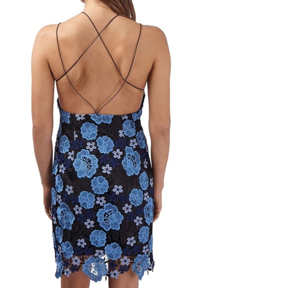 Topshop Pansy Lace Slip Dress - Picture 1 of 4